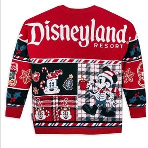 Disneyland Christmas sweater